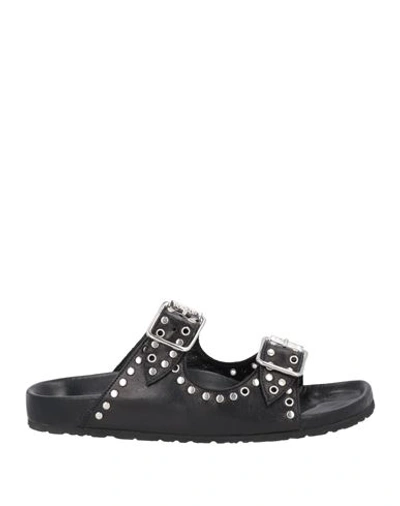 Shop Dondup Woman Sandals Black Size 8 Soft Leather