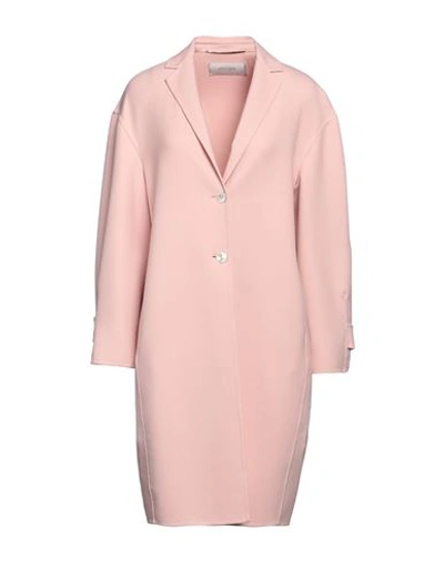 Agnona Woman Overcoat & Trench Coat Light Pink Size 14 Wool, Elastane, Polyamide, Viscose, Lyocell In Pink