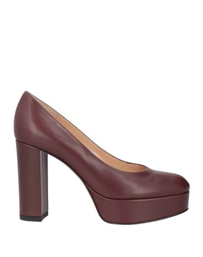 Shop Gianvito Rossi Woman Pumps Burgundy Size 6.5 Soft Leather In Red