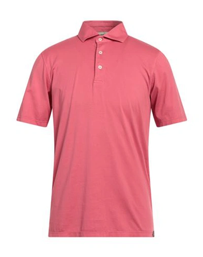 Shop Gran Sasso Man Polo Shirt Magenta Size 40 Cotton