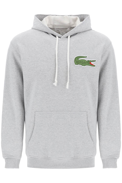 Shop Comme Des Garçons Shirt Lacoste Big Crocodile Hoodie In Grey