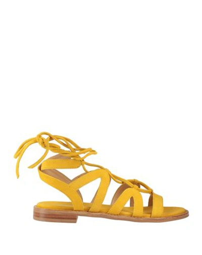 Shop Tosca Blu Woman Sandals Ocher Size 6 Soft Leather In Yellow