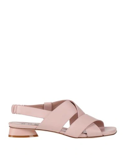Shop Bruglia Woman Sandals Light Pink Size 7 Soft Leather
