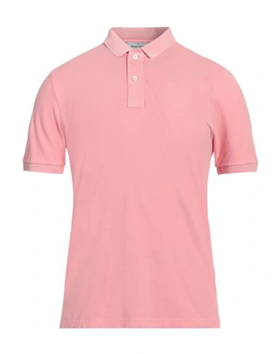 Shop Gran Sasso Man Polo Shirt Pink Size 44 Cotton