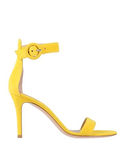 Shop Gianvito Rossi Woman Sandals Ocher Size 9 Soft Leather In Yellow