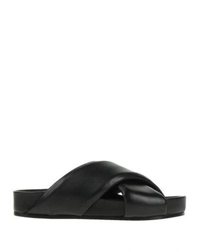 Shop Jil Sander Woman Sandals Black Size 6 Leather