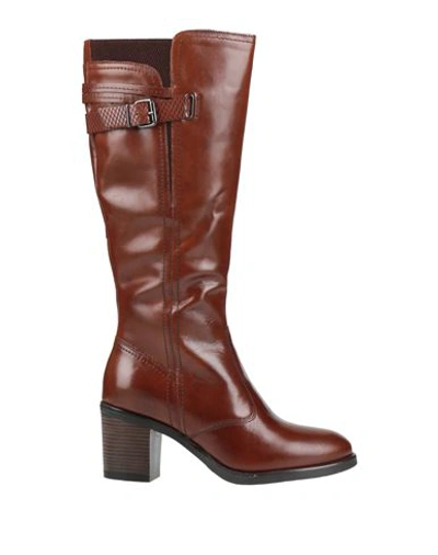 Shop Cinzia Soft Woman Boot Brown Size 6 Soft Leather