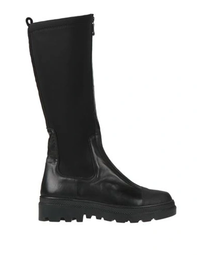 Shop Sofia / Len Woman Knee Boots Black Size 8 Calfskin, Rubber, Textile Fibers