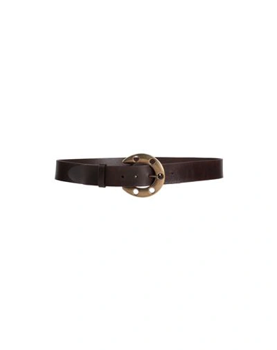 Shop Dolce & Gabbana Woman Belt Dark Brown Size 42 Soft Leather
