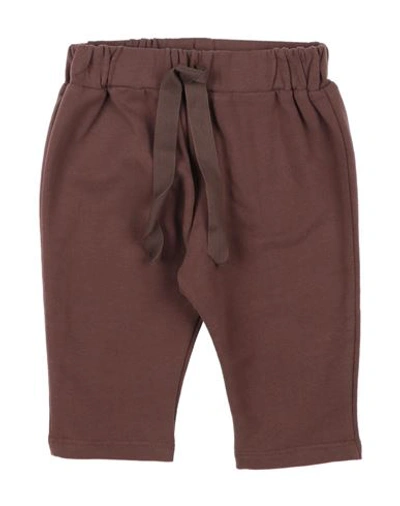 Shop Minimu' Newborn Girl Pants Brown Size 3 Cotton, Elastane