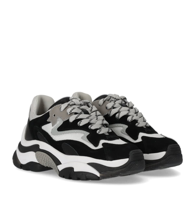 Ash Addict Low-top Sneakers In Nero
