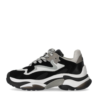 Ash Addict Low-top Sneakers In Nero