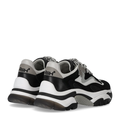Shop Ash Addict Black And White Sneaker In Nero