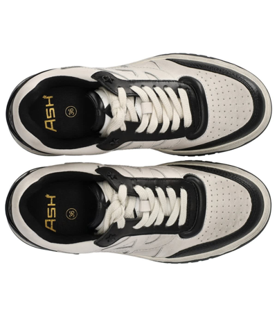 Shop Ash Blake Basket White Black Sneaker In Bianco/nero