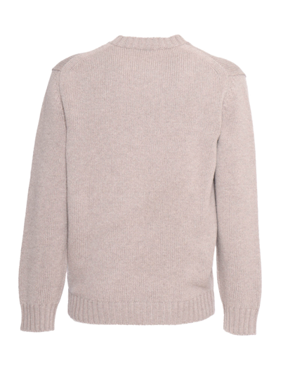 Shop Kangra Crew Neck Sweater In Pink