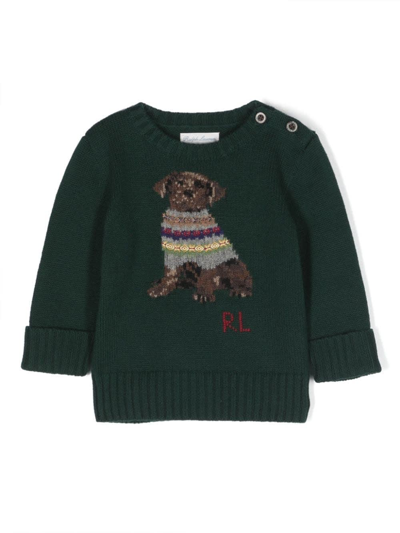 Shop Ralph Lauren Agate Moss Crew Neck Sweater With Dog In Verde