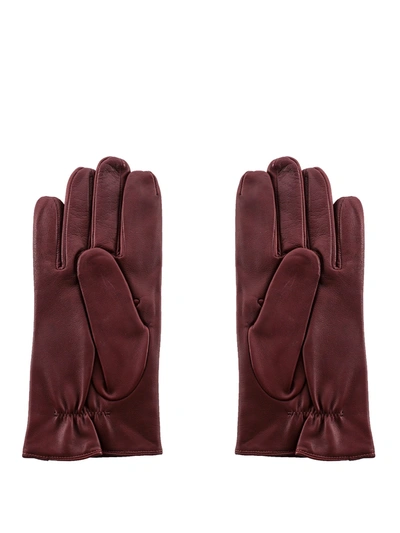 Shop Orciani Gloves