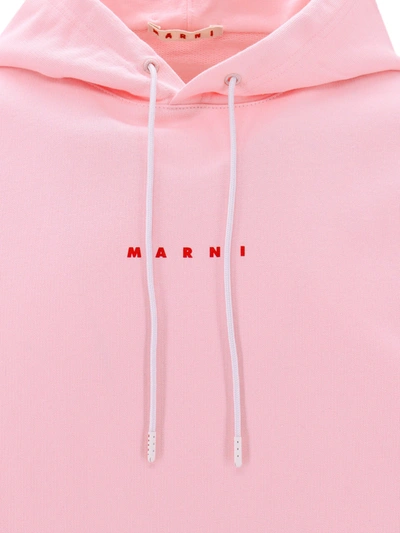 Shop Marni Cotton Sweatshirt With Frontal Print