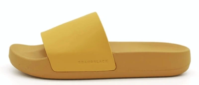 Shop Brandblack Kashiba Lux Slides In Citronelle In Multi