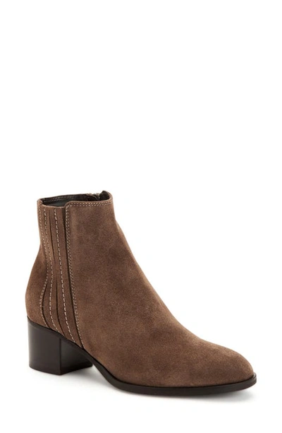 Shop Aquatalia Naiya Ankle Bootie In Taupe