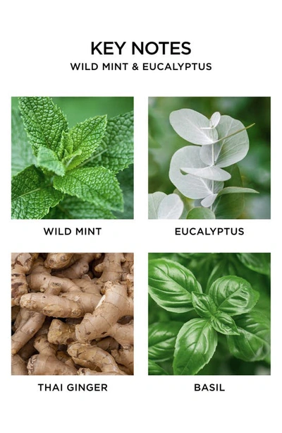 Nest New York Wild Mint Eucalyptus Body Wash