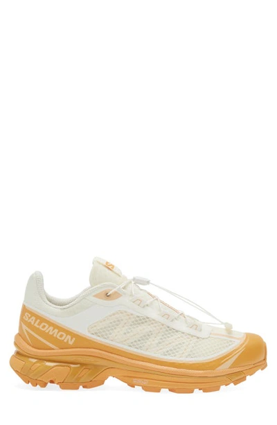 Shop Salomon Xt-6 Sneaker In Vanilla/ Buckskin/ Hazelnut
