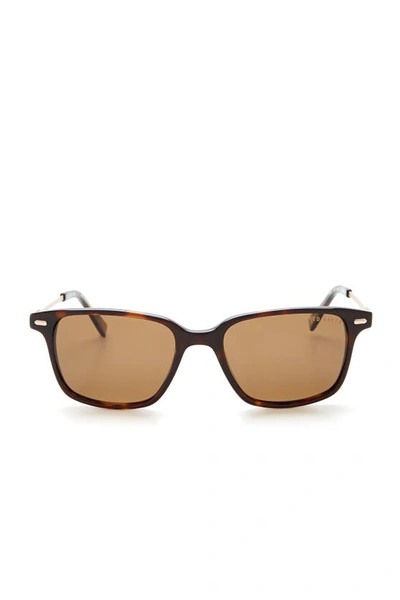 Shop Ted Baker 52mm Square Polarized Plastic Frame Sunglasses In Tortoise