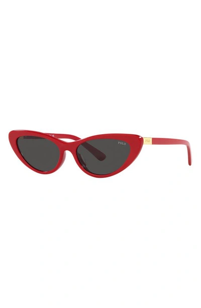 Shop Polo Ralph Lauren 54mm Cat Eye Sunglasses In Red