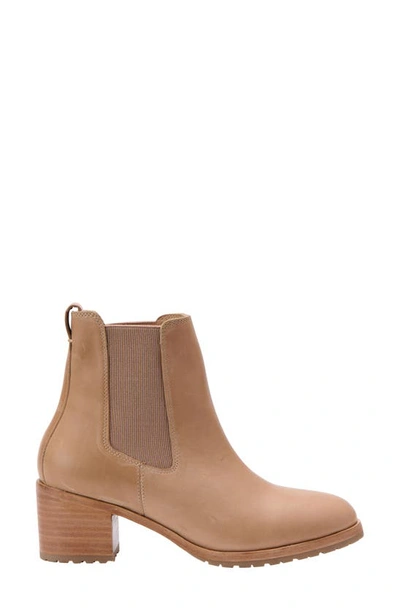 Shop Nisolo Ana Go-to Chelsea Boot In Almond