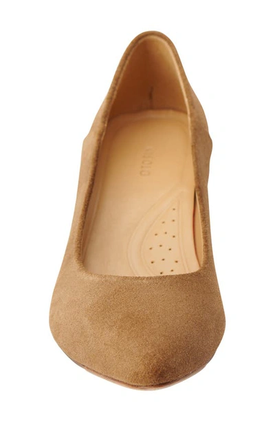 Shop Nisolo Fiorela Go-to Pointed Toe Pump In Taupe