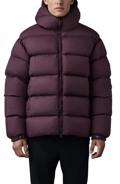 Shop Mackage Cyrilo Hooded Down Puffer Jacket In Garnet