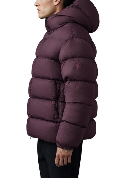 Shop Mackage Cyrilo Hooded Down Puffer Jacket In Garnet