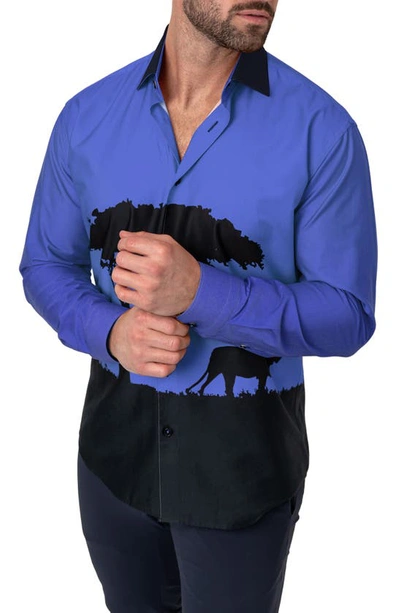 Shop Maceoo Fibonacci Cotton Button-up Shirt In Mufasa Blue