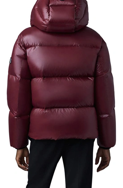 Shop Mackage Kent Water Repellent Down Puffer Jacket In Garnet