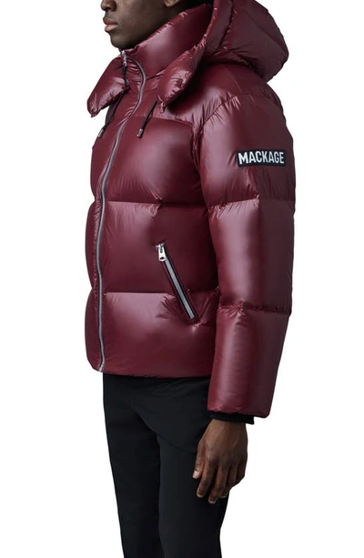 Shop Mackage Kent Water Repellent Down Puffer Jacket In Garnet