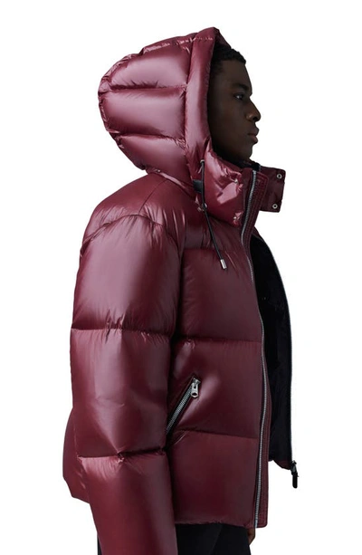 Shop Mackage Kent Water Repellent Down Puffer Jacket In Garnet