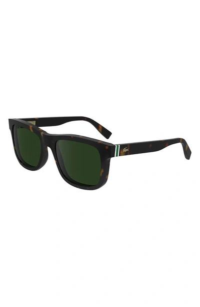 Shop Lacoste Premium Heritage 55mm Rectangular Sunglasses In Dark Havana