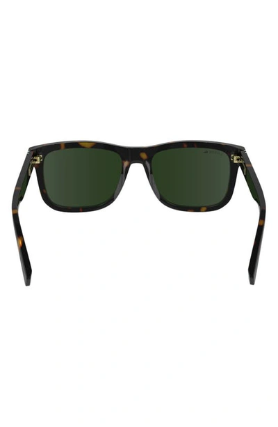Shop Lacoste Premium Heritage 55mm Rectangular Sunglasses In Dark Havana