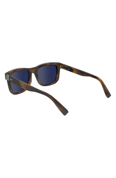 Shop Lacoste Premium Heritage 55mm Rectangular Sunglasses In Havana