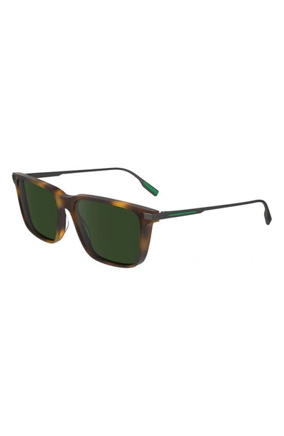 Shop Lacoste Premium Heritage 55mm Rectangular Sunglasses In Havana