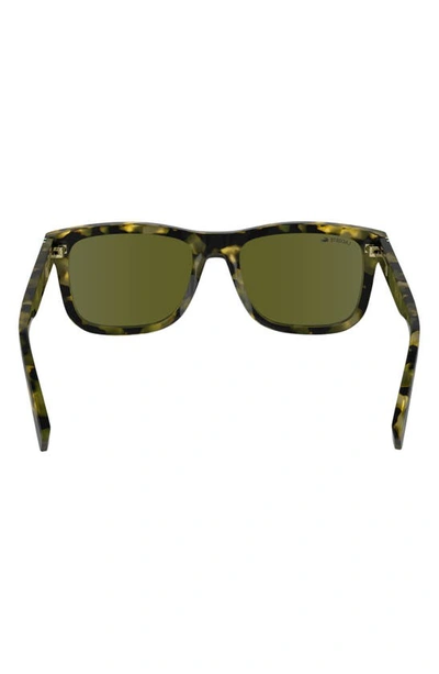 Shop Lacoste Premium Heritage 55mm Rectangular Sunglasses In Tokyo Havana