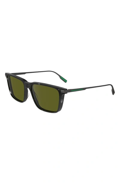 Shop Lacoste Premium Heritage 55mm Rectangular Sunglasses In Havana Grey