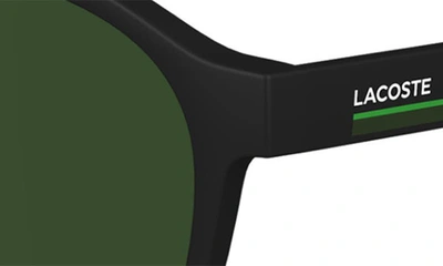 Shop Lacoste 53mm Oval Sunglasses In Matte Black