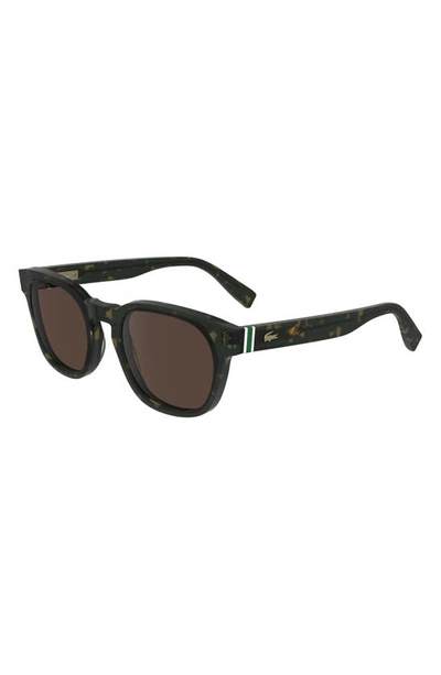 Shop Lacoste Premium Heritage 49mm Rectangular Sunglasses In Dark Havana