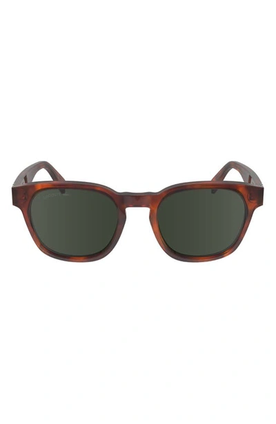 Shop Lacoste Premium Heritage 49mm Rectangular Sunglasses In Havana Blonde