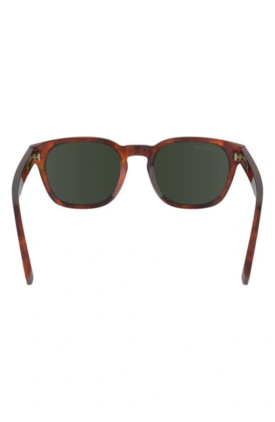 Shop Lacoste Premium Heritage 49mm Rectangular Sunglasses In Havana Blonde