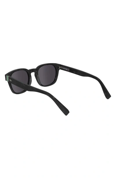 Shop Lacoste Premium Heritage 49mm Rectangular Sunglasses In Havana Grey