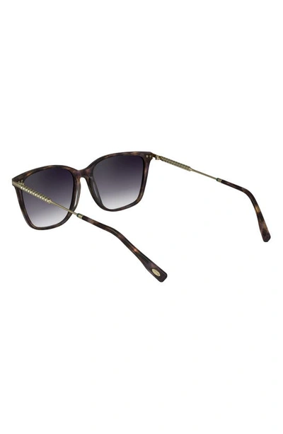 Shop Lacoste Premium Heritage 57mm Gradient Rectangular Sunglasses In Purple Havana