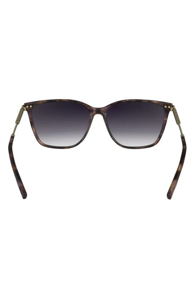 Shop Lacoste Premium Heritage 57mm Gradient Rectangular Sunglasses In Purple Havana