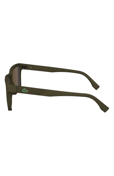 Shop Lacoste 56mm Rectangular Sunglasses In Brown/ Khaki